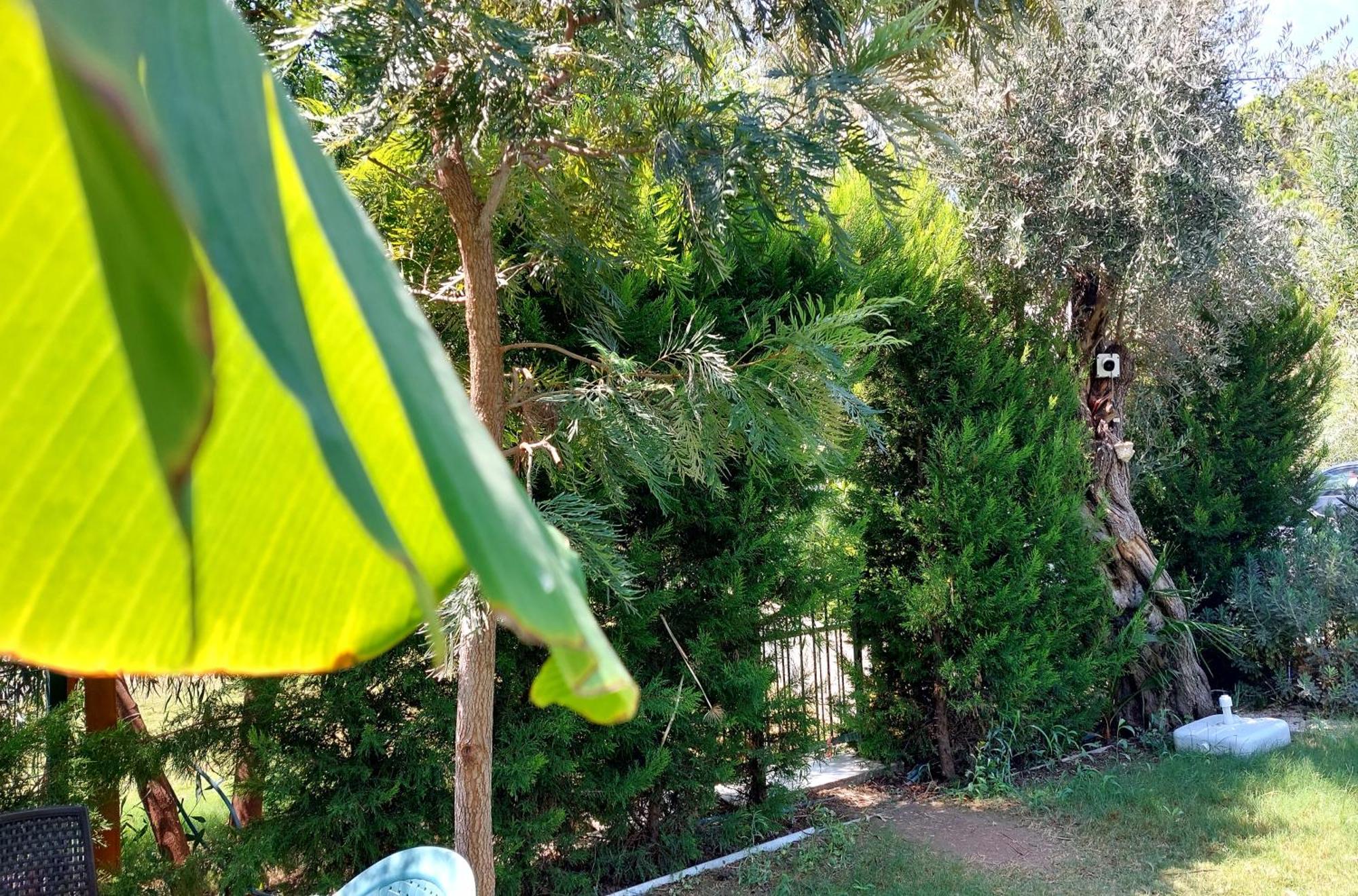 Palmiyem Apart Otel Seferihisar Buitenkant foto